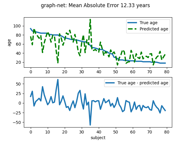 graph-net: Mean Absolute Error 12.33 years
