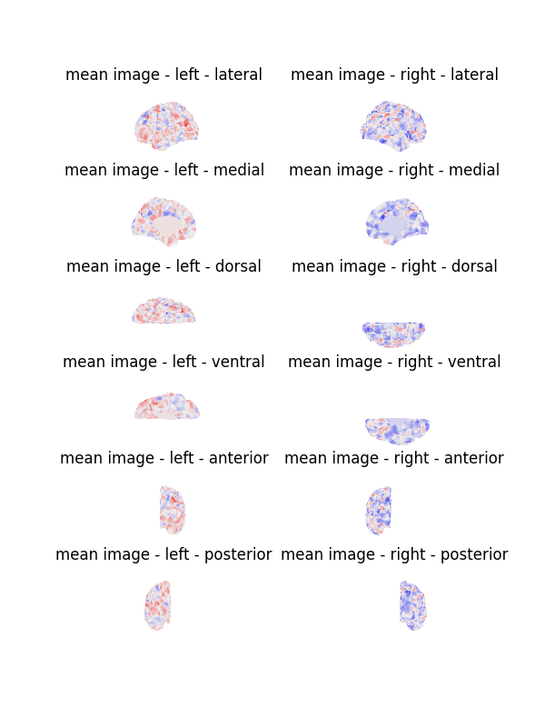 mean image - left - lateral, mean image - right - lateral, mean image - left - medial, mean image - right - medial, mean image - left - dorsal, mean image - right - dorsal, mean image - left - ventral, mean image - right - ventral, mean image - left - anterior, mean image - right - anterior, mean image - left - posterior, mean image - right - posterior