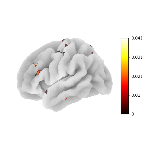 plot surface image and maskers