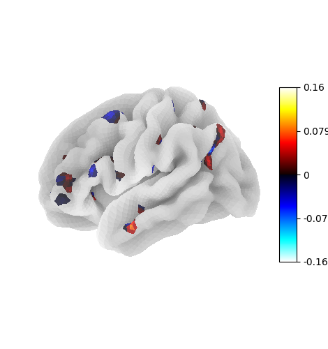 plot surface image and maskers
